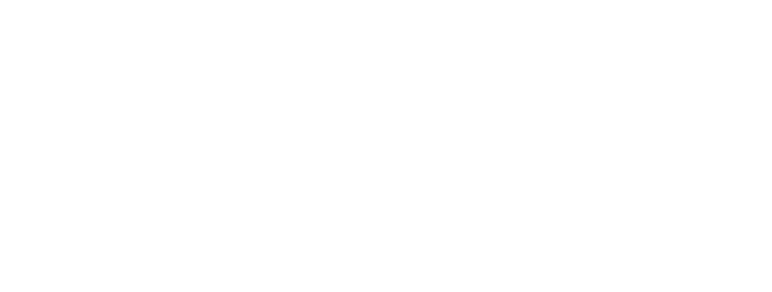 Logo Varnion